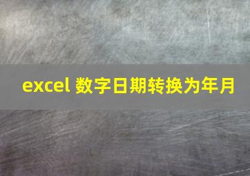 excel 数字日期转换为年月